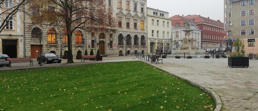 Zieleń, klimat i nowe porządki. Ani dmuchną na orła