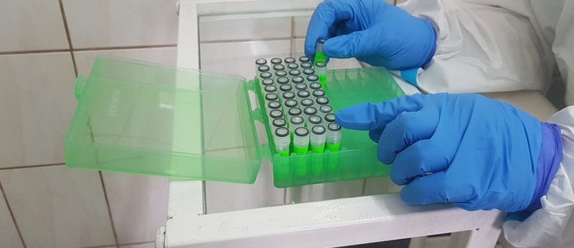 W Zachodniopomorskiem 6 nowych zakażeń koronawirusem. Zmarła 1 osoba