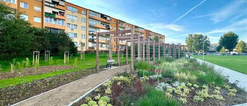 Jak (dobrze) zbudować park. Największa zielona inwestycja Szczecina 2023