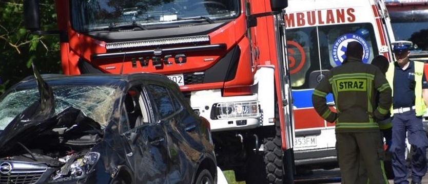 Zderzenie z żubrem w gminie Ińsko. Samica nie przeżyła