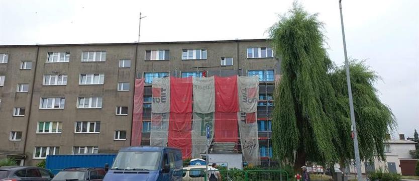 Remonty mogą zagrażać życiu ptaków. Spółdzielnia: remontujemy, ale pod nadzorem