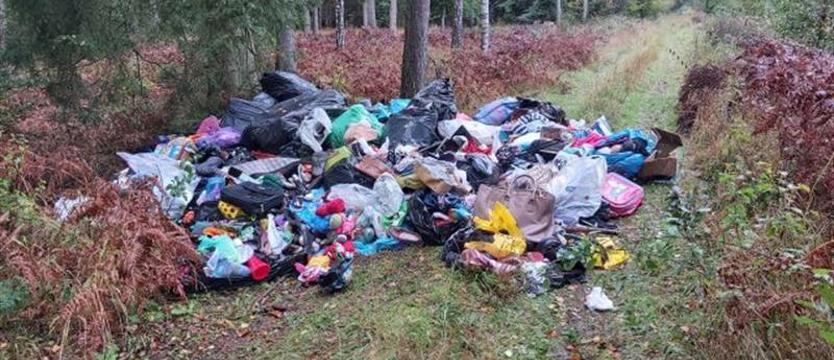 Stosy śmieci w lesie! Wandalizm i głupota