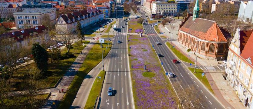 Pomysły na Szczecin. SBO 2025 - ostatnia prosta