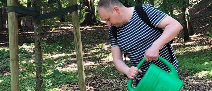 Fatalny stan zaniedbania. Drzewka w (nie)pamięci