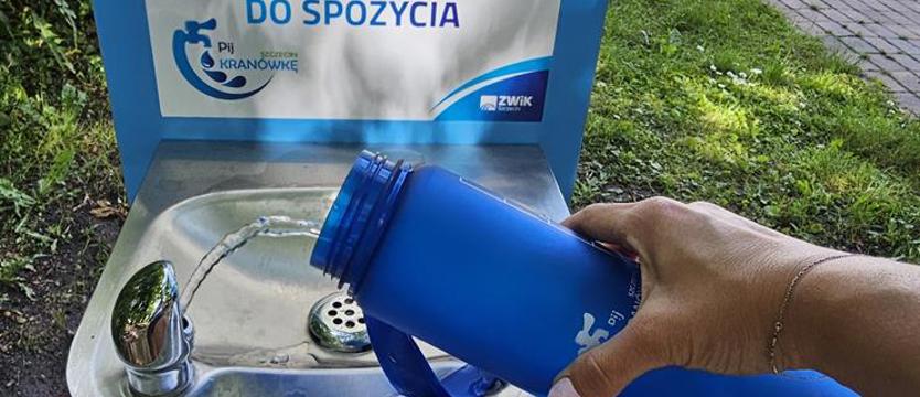 Pitniki pod chmurką. Na spacer warto wziąć bidon