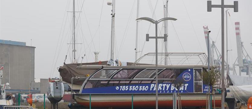 Latem pływały, teraz zimują