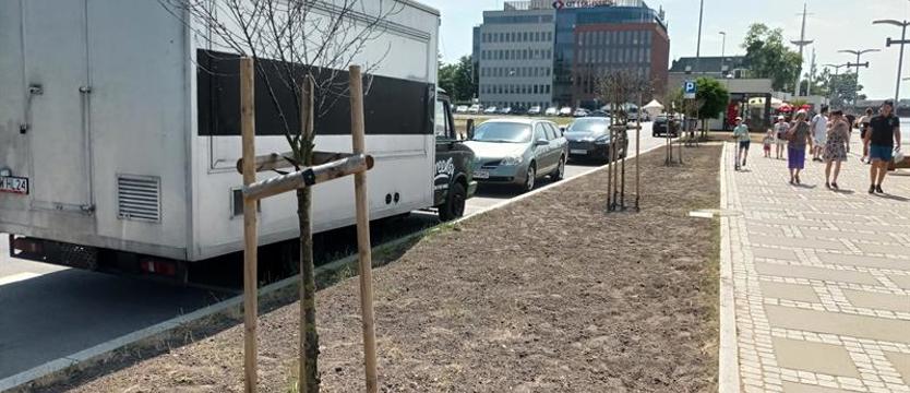 Bulwar(lo)ve? Raczej nie dla zieleni
