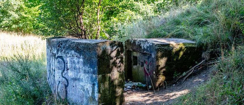 Mieszkańcy Dąbia sprzeciwiają się likwidacji schronu