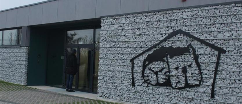 Schronisko czeka na zwierzaki. Przeprowadzka jeszcze w styczniu