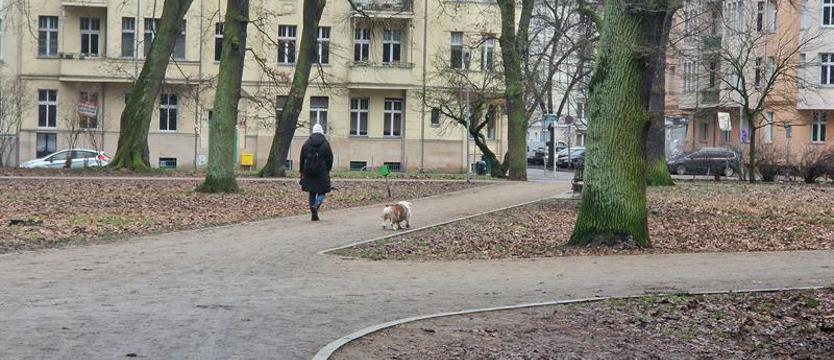 Błotniste ścieżki w parku Żeromskiego. Co z tą nawierzchnią?