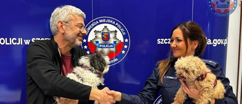 Skradzione psy odnalezione przez szczecińskich policjantów