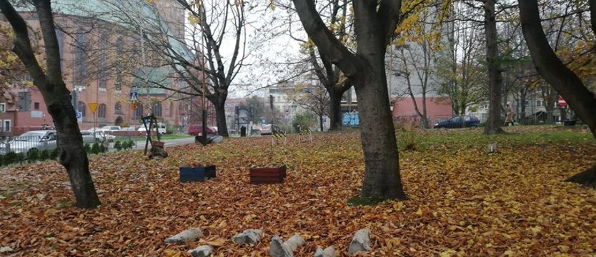 Park kieszonkowy na Starym Mieście