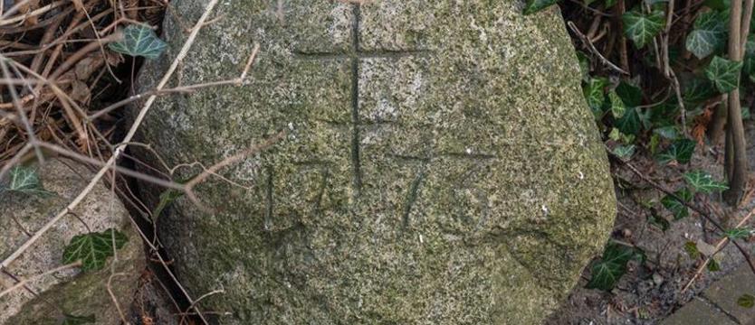 Konserwator złożył zawiadomienie o popełnieniu przestępstwa. Tajemnicze zbiory na prywatnej posesji