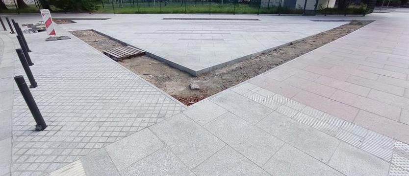 Drzewa zamiast betonu. Pomysł na ograniczenie szczecińskiej betonozy
