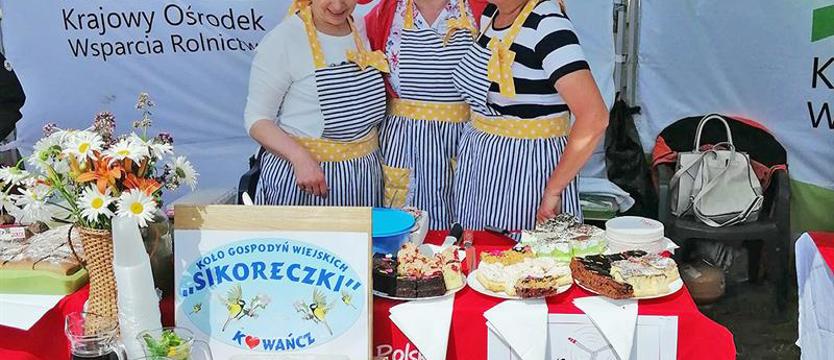 Sikoreczki wzniosą lapidarium. Ocalić od zapomnienia