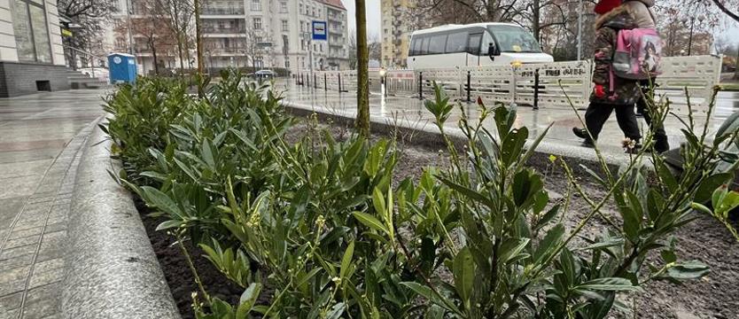 Ciekawa zmiana na pl. Grunwaldzkim