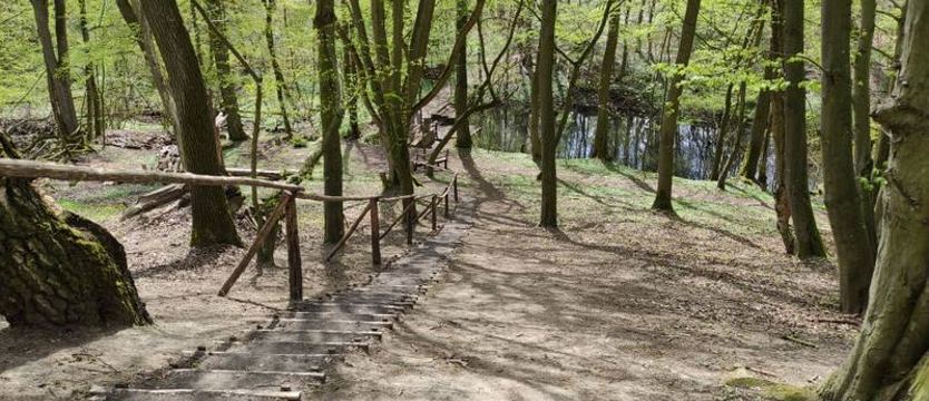 Szczeciński Budżet Obywatelski. Mieszkańcy wybrali