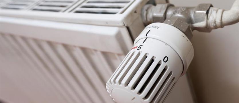 Zbyt wysoka temperatura w domu? 20 stopni dla zdrowia i klimatu [SONDA]