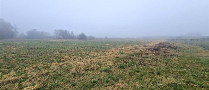 Kołobrzeg ma w końcu teren pod schronisko