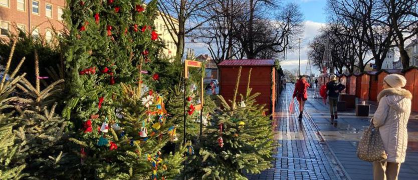 Choinki z jarmarku trafią do szczecinian 