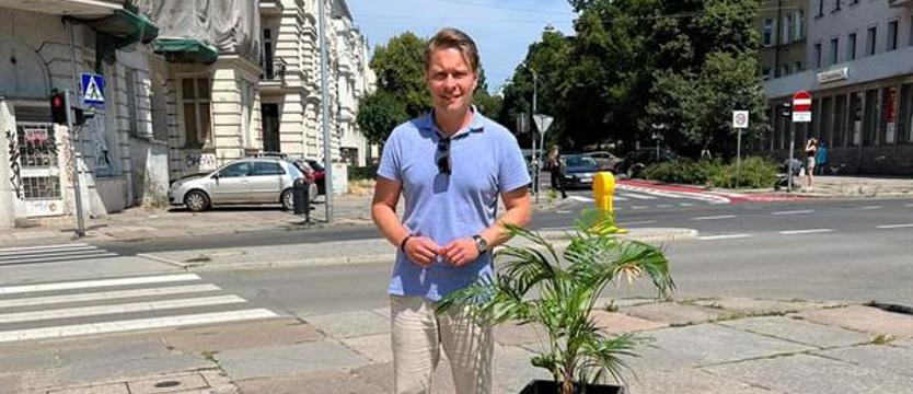 Zieleniec, byle był? Wizja, palma i tzw. betonizacja