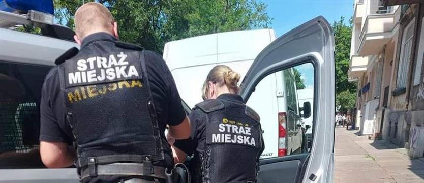 Pies w piekle rozgrzanego auta