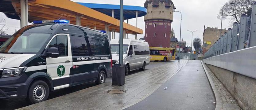 Akcja krokodyli w Stargardzie