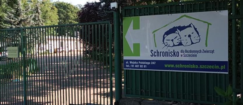 Schronisko dla bezdomnych zwierząt bez odwiedzin