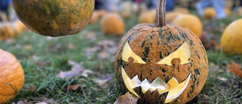 Charytatywny weekend w INKU. Halloween, dynie i wsparcie dla Adasia