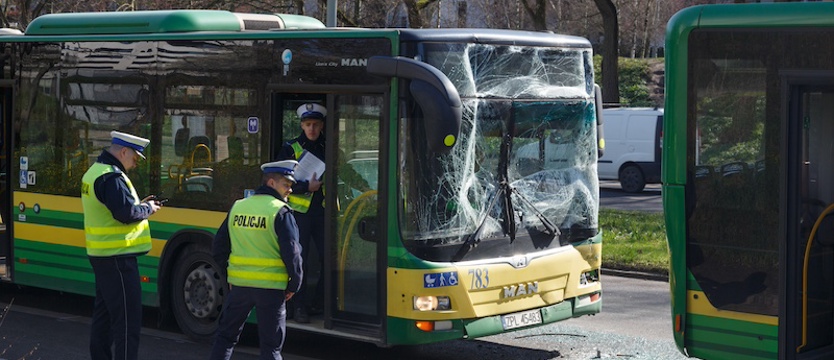 Zderzenie autobusów - są poszkodowani 