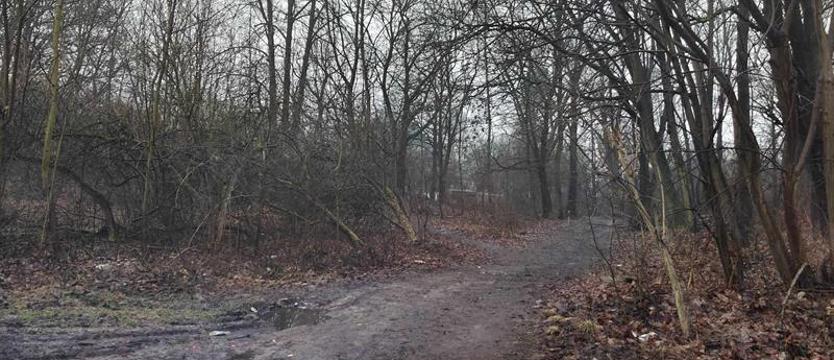 W Stargardzie przybywa domów, potrzebne są adresy