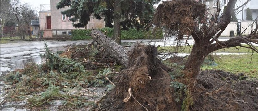 W Stargardzie zamknięto cmentarze. Strażacy walczą ze skutkami nawałnicy