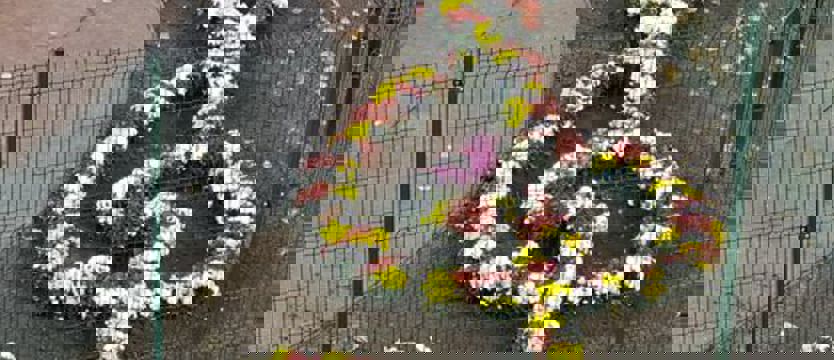 Kwiatowy klucz wiolinowy na placu zabaw szkoły muzycznej w Szczecinie