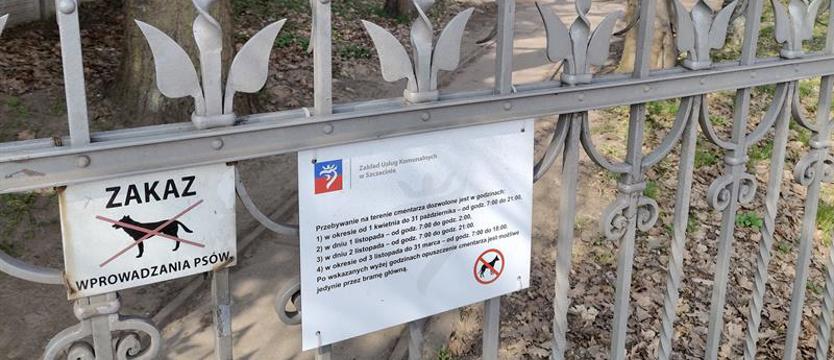 W „Parku umarłych" urok i... groza. Alarm dla niepoprawnych marzycieli