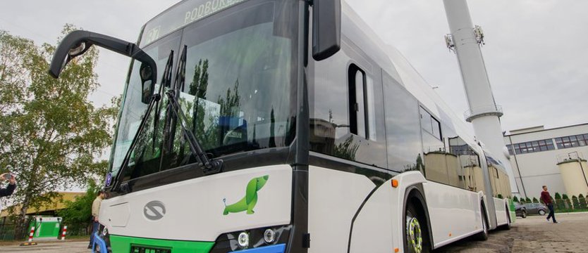 Czternaście nowych autobusów elektrycznych wyjedzie na ulice Szczecina