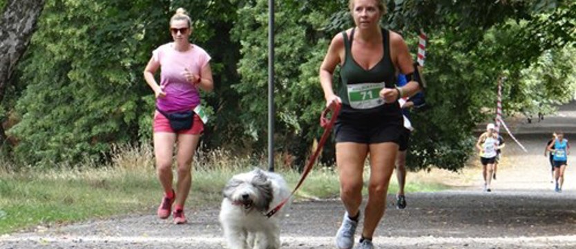 Moc pomagania, czyli wirtualny bieg dla zwierząt