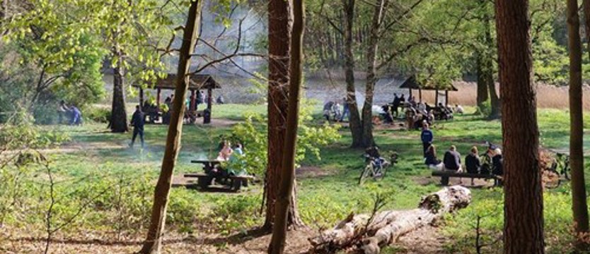 Plaża, las, a może nad morze? Dobry klimat na majówkę
