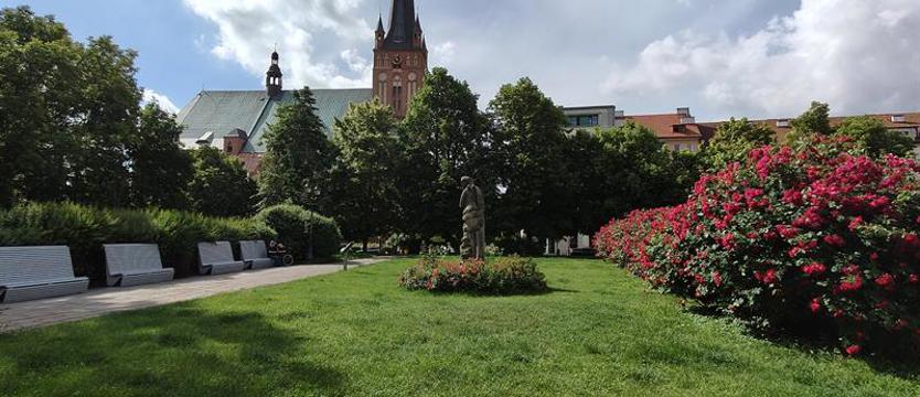 Animacje i atrakcje. Sobota na Starym Mieście