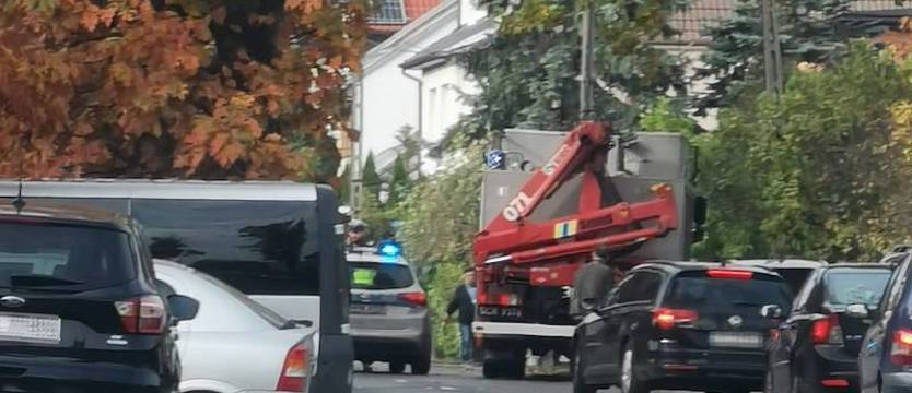 Samochód uderzył w drzewo. Jedna osoba ranna