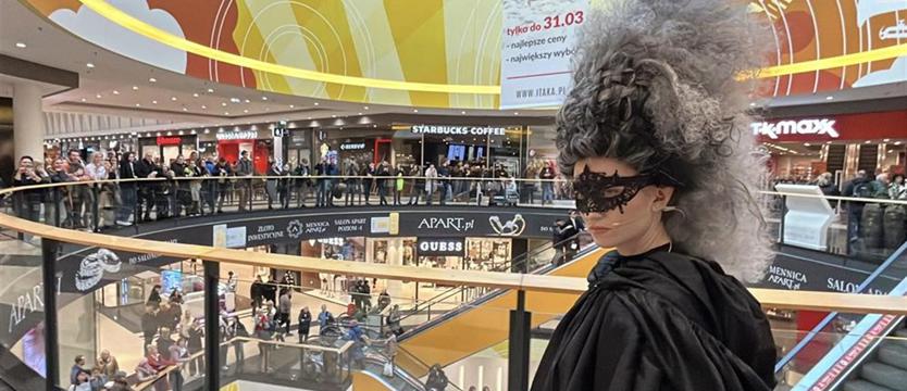 Diva na zakupach