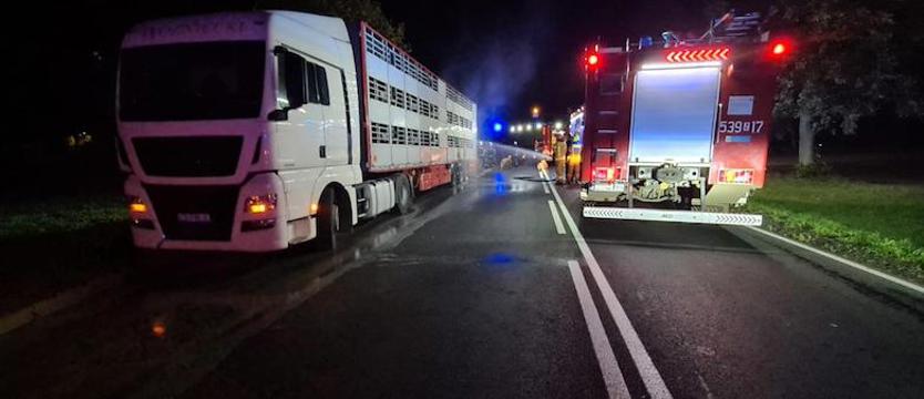 Pożar auta ze zwierzętami na krajowej dziesiątce. Cztery świnie nie przeżyły