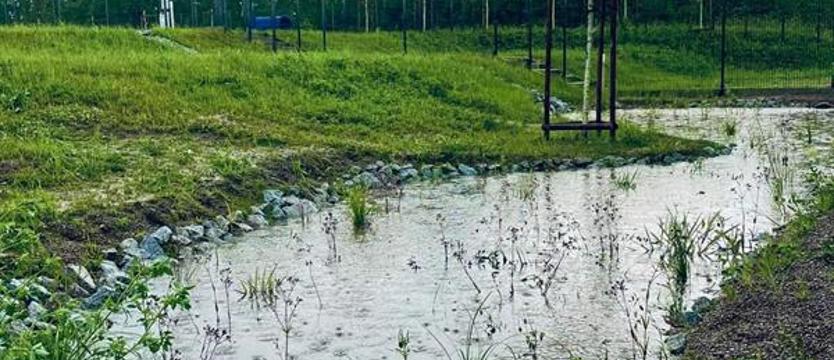 (Nie)przygotowani do zmian klimatycznych. Miasto pływającego ogrodu