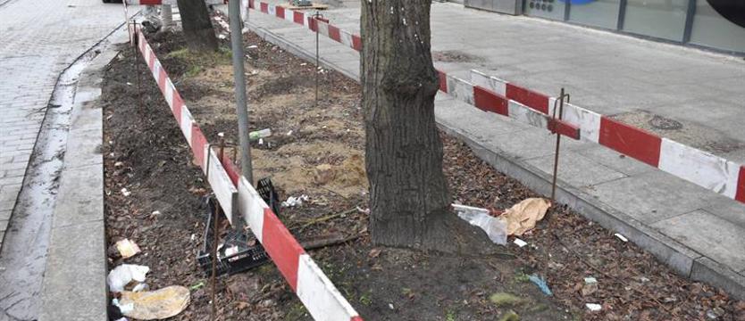 Śmietnik w nowej alei. Butelki, szkło, puszki, kartony