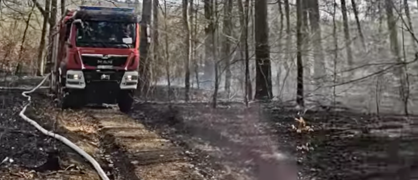 Z pomocą samolotów strażacy opanowali pożar między Nowogardem a Osiną