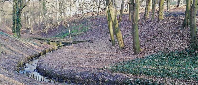 Spacer z rozpoznawaniem drzew i krzewów. Tym razem Park Chopina i Zakole