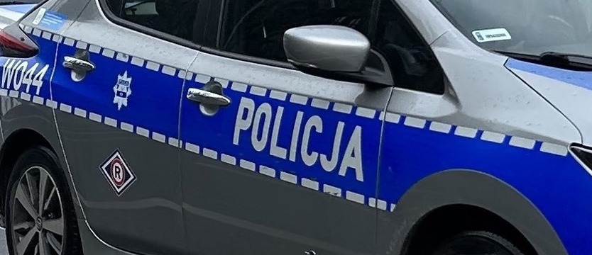 Samochód ciężarowy zderzył się końmi. Dwa z nich nie żyją