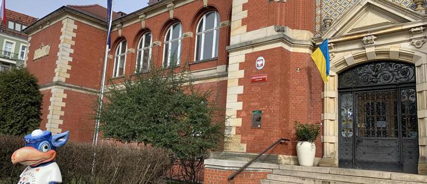 Uniwersytet Szczeciński powołał pełnomocniczkę do spraw Ukrainy