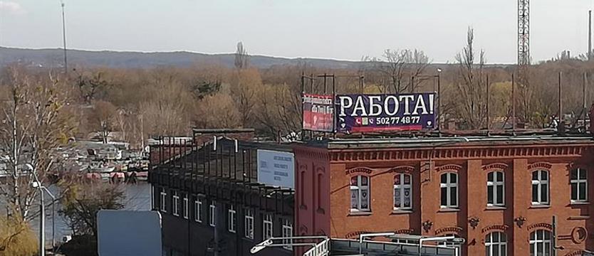 Uchodźcy chętni do pracy, ale w dużych miastach
