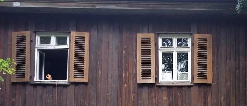 Dla atmosfery, po oryginalne podarki. Świątecznie przy ul. Storrady