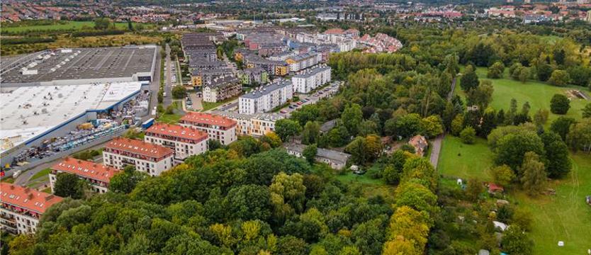 Uwagi do Studium - ostatni dzwonek. Jaki kierunek dla Szczecina?